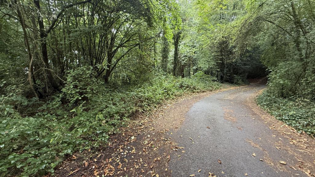 Lot: 2 - APPROXIMATELY FIVE ACRES OF WOODLAND - Outside image of woods with road from other direction